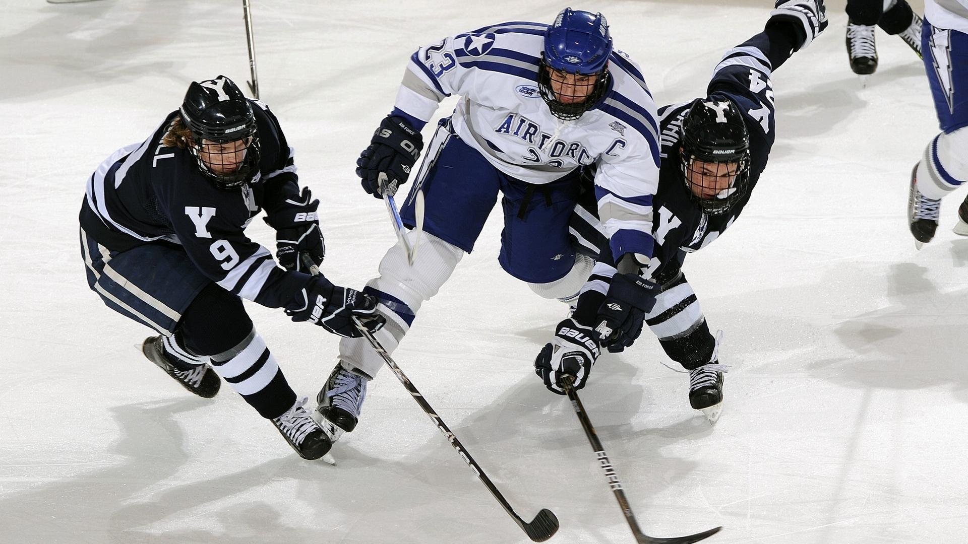 体育赛事观众规模统计报告